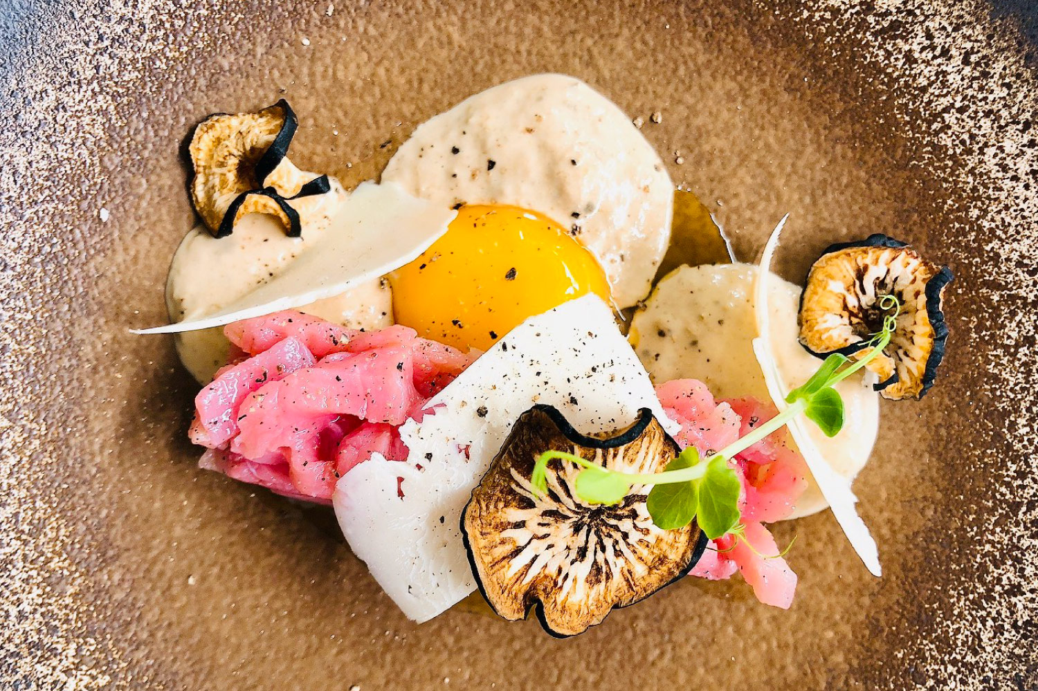 La-table-du-cinq-restaurant-bagnres-entree
